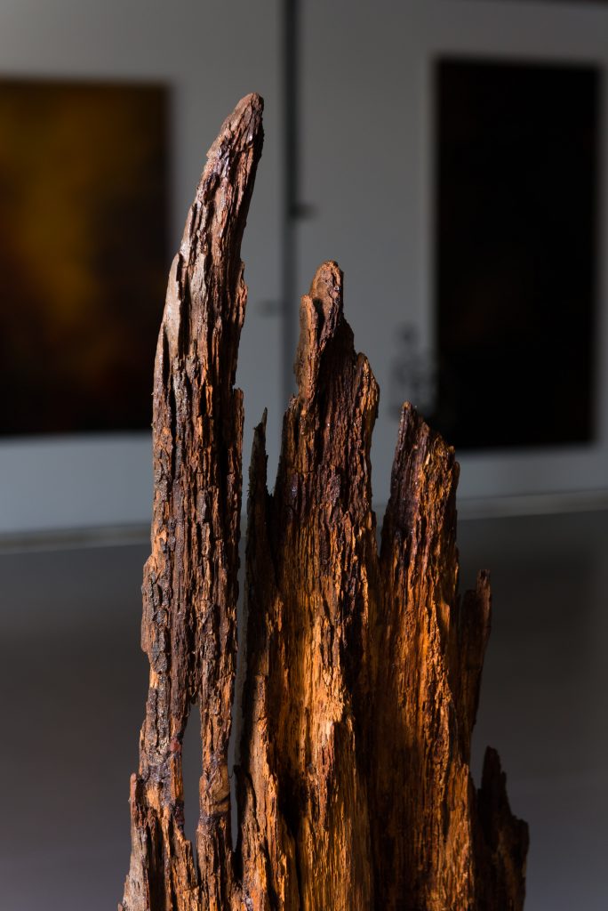 Gotham/Sanctuary - abstract wood sculpture