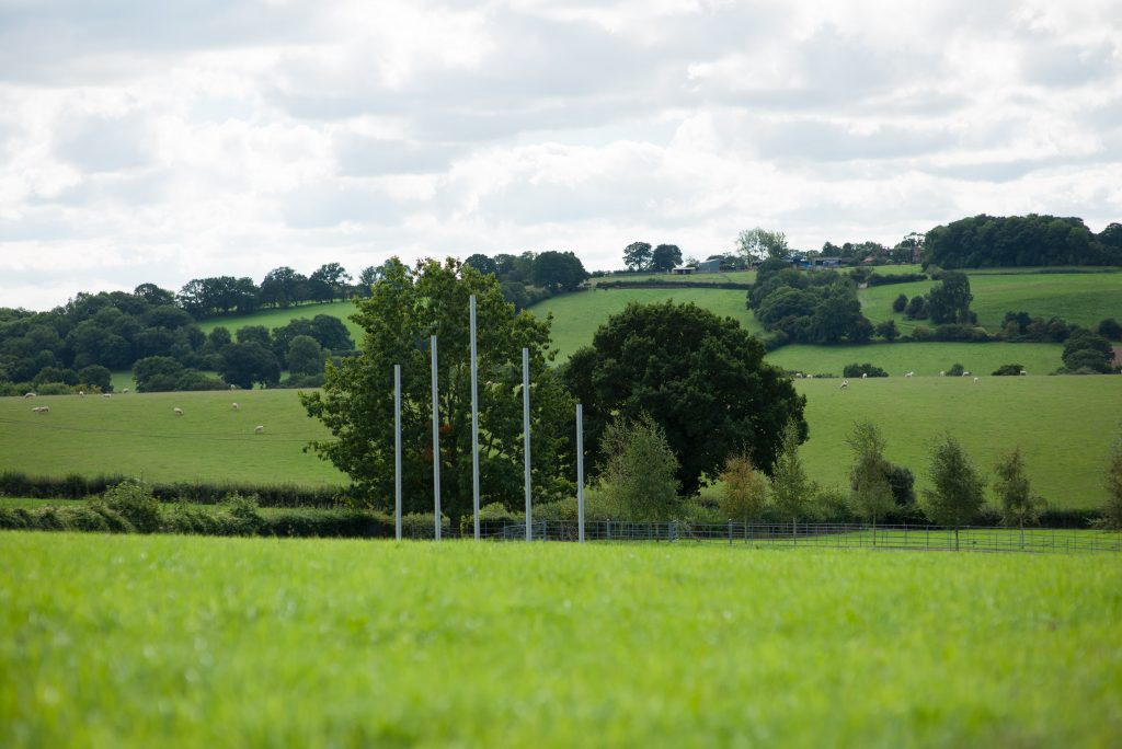 Verticals - steel garden art