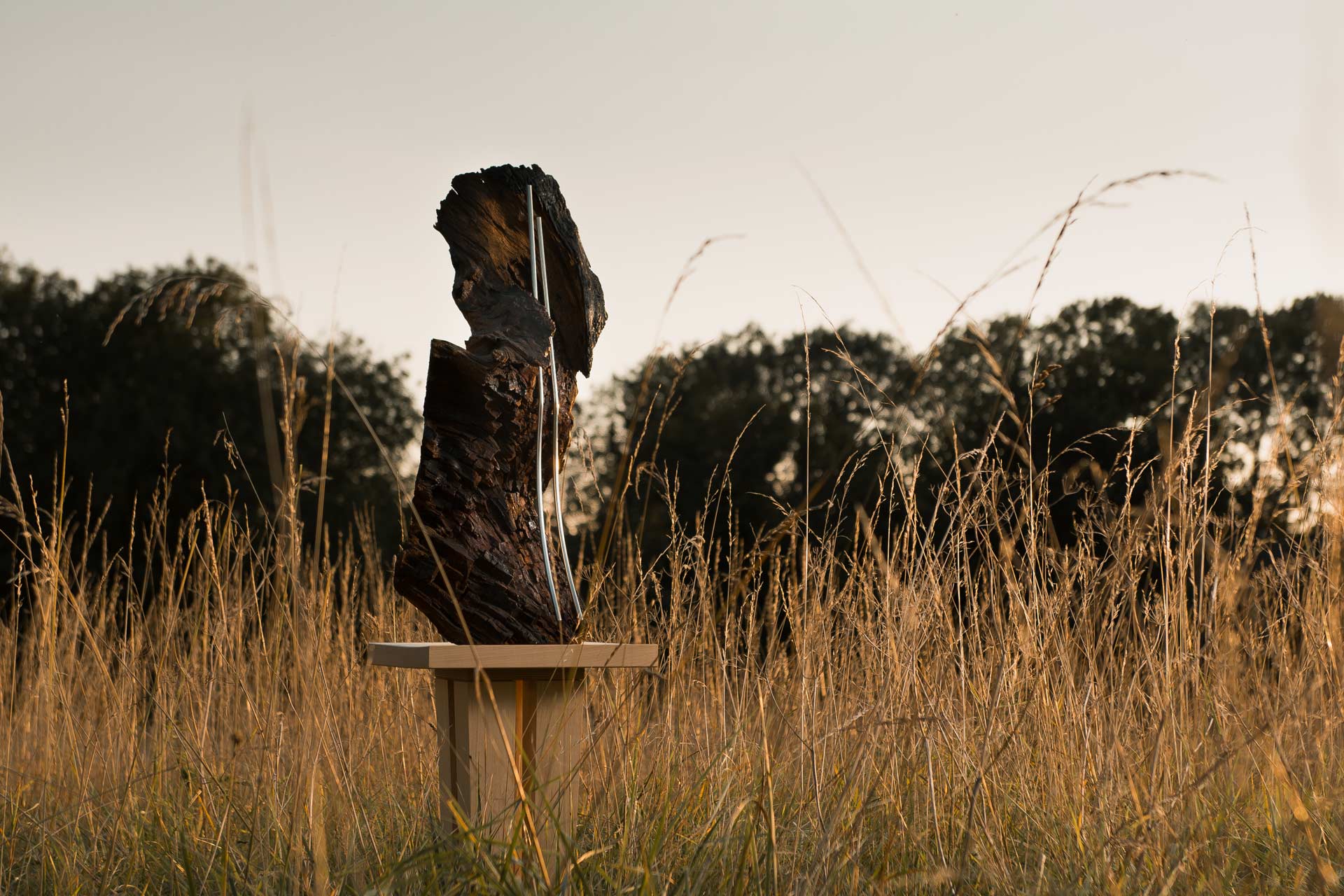 First - abstract wood and steel sculpture